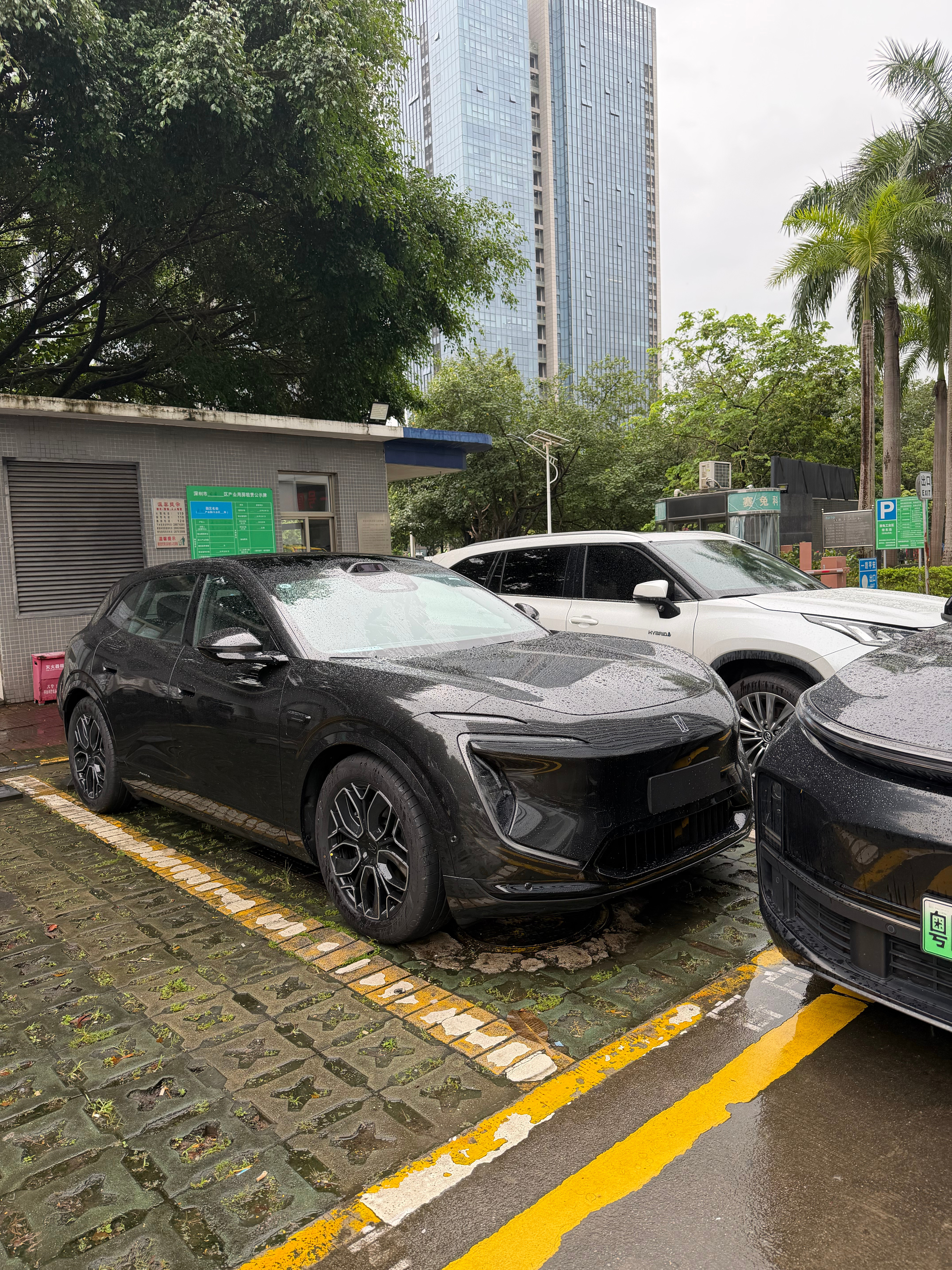 我以为你们只是玩梗深圳