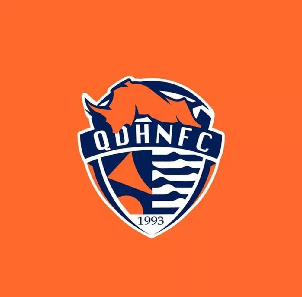 青岛老板把楼都抵押了，6个点的利息借钱发工资，回头一看，球队直接被干成负7分。