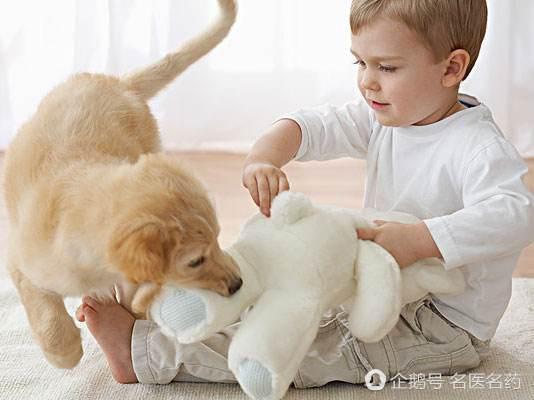 家有宝宝养宠物守则及注意