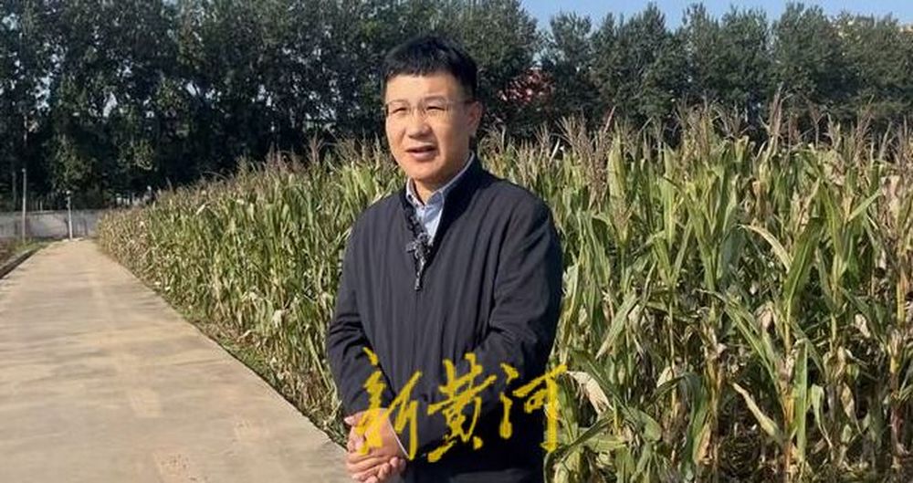 持续阴雨天对小麦播种有何影响? 专家提醒: 等待墒情适宜, 切勿抢耕抢种