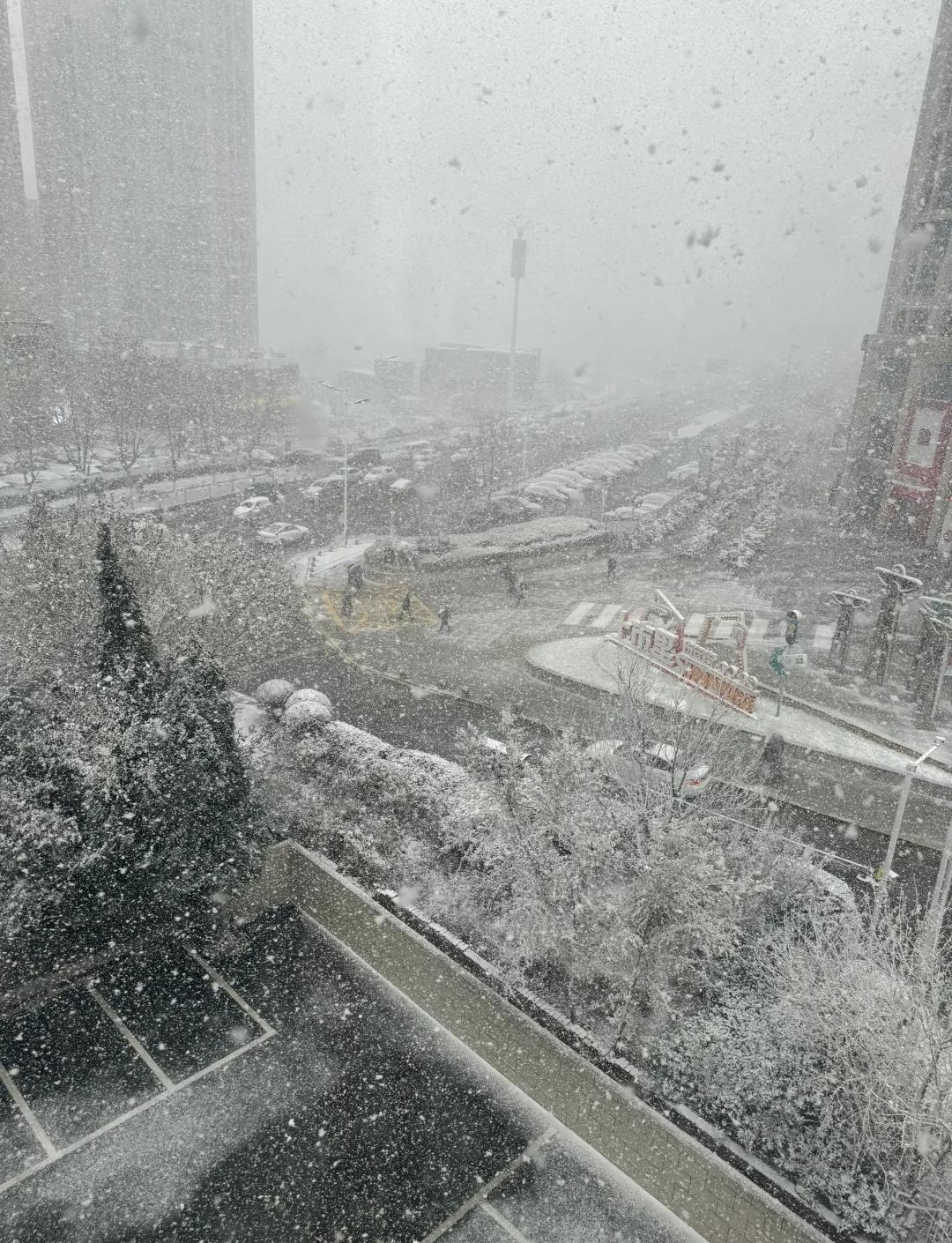 所谓“下冒烟”，核心是“暴雪+大风+温差”的三重魔法！烟台靠海，冬日渤海水温比陆