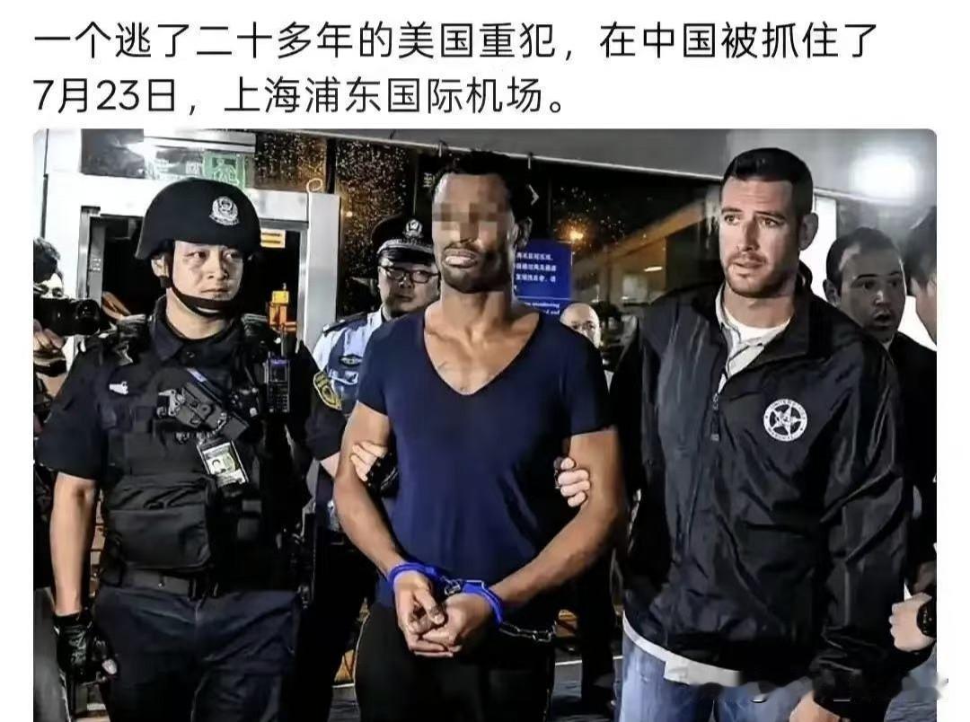 人麻了，真的麻了。要是你7月23号那天在浦东机场，看到那一幕，估计比看恐怖片还让