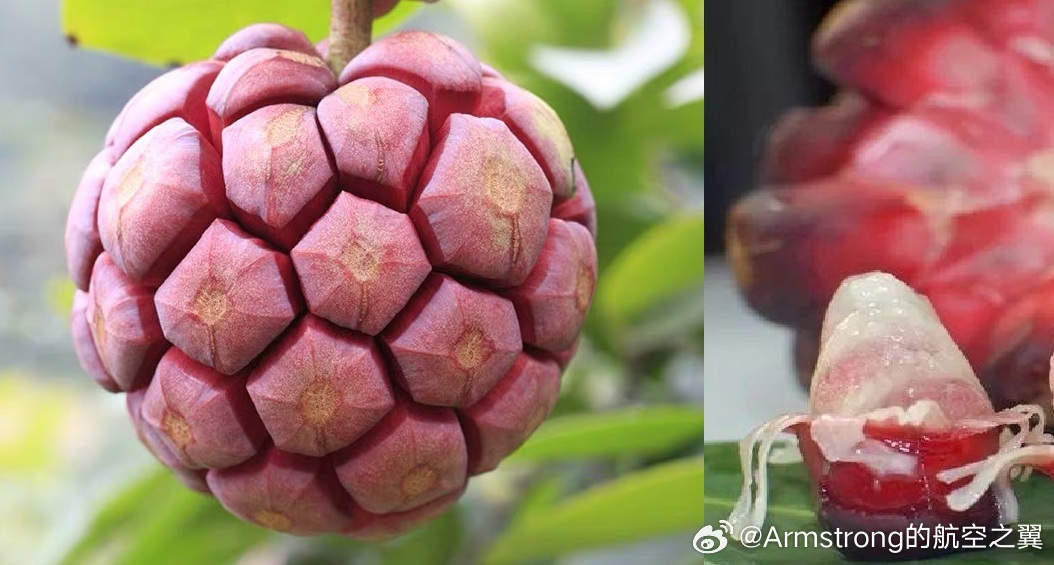 被时代淘汰的水果随着农业育种技术的进步和现代商业冷链的发展，一些曾经随处可见的