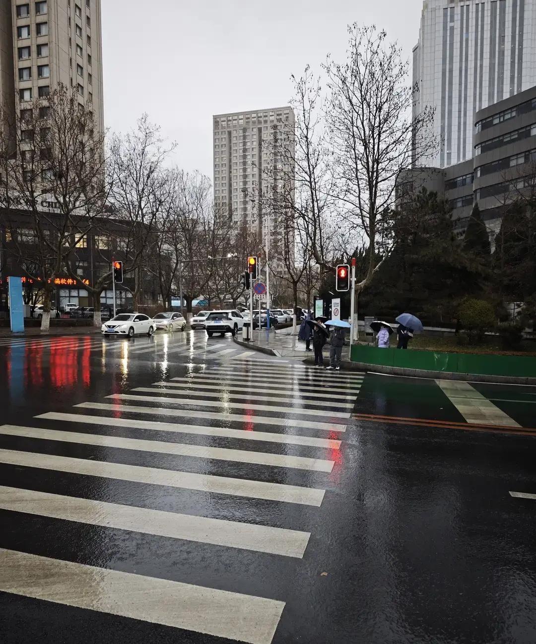大连12月居然下雨，不是下雪，是下雨。我刷到视频，路面全是水，气温七八度，羽绒