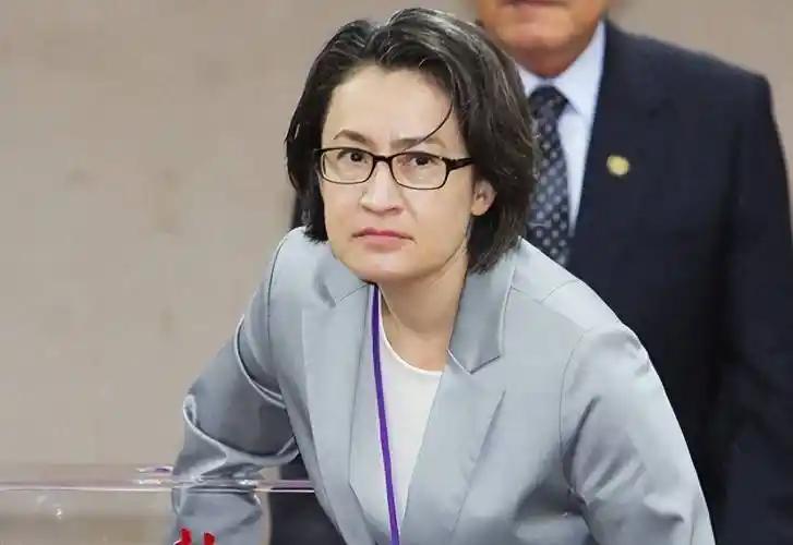 “台独”集团扬言要对大陆进行“外交大反攻”！赖清德、萧美琴、蔡英文、林佳龙倾巢而