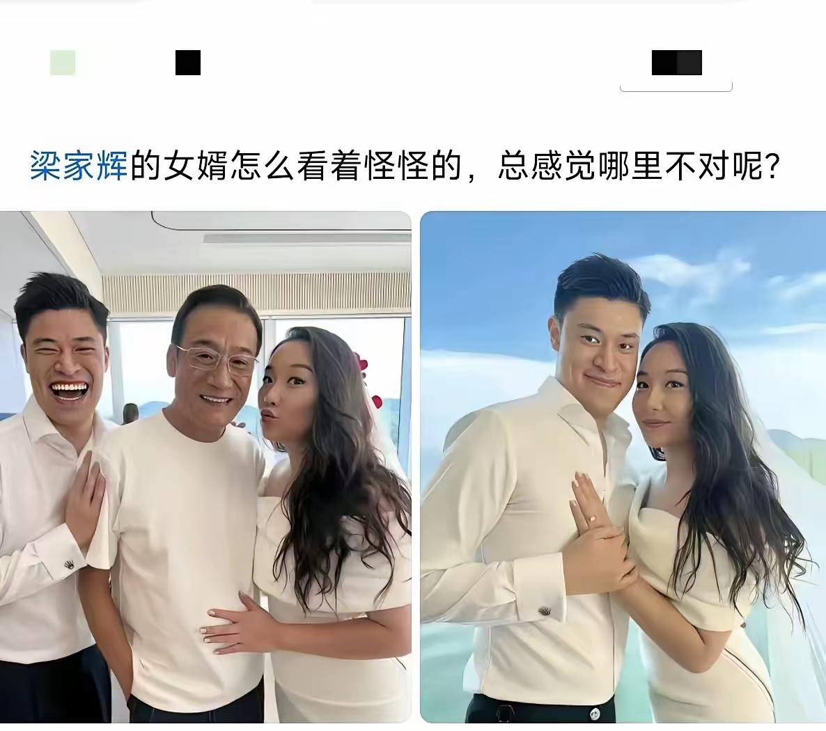 梁家辉两个女儿，一个嫁给美籍华人，一个嫁给加拿大白人，估计这就是那个美籍华人女婿