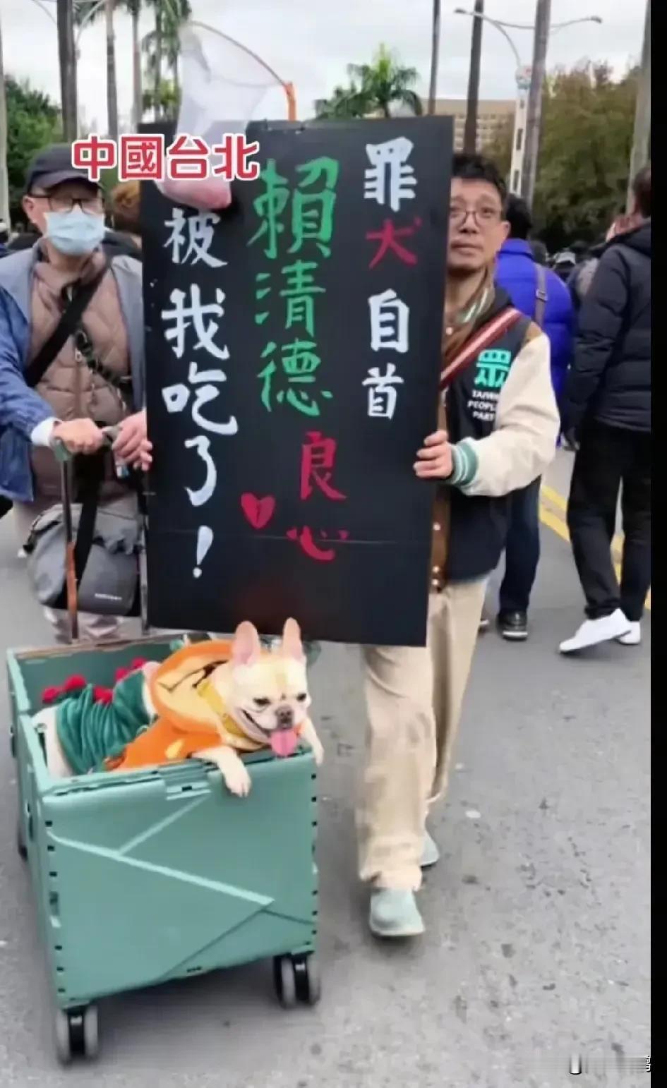 台湾省同胞觉醒了台北市市民们打着“罪犬自首，赖清德良心被我(狗)吃了”的