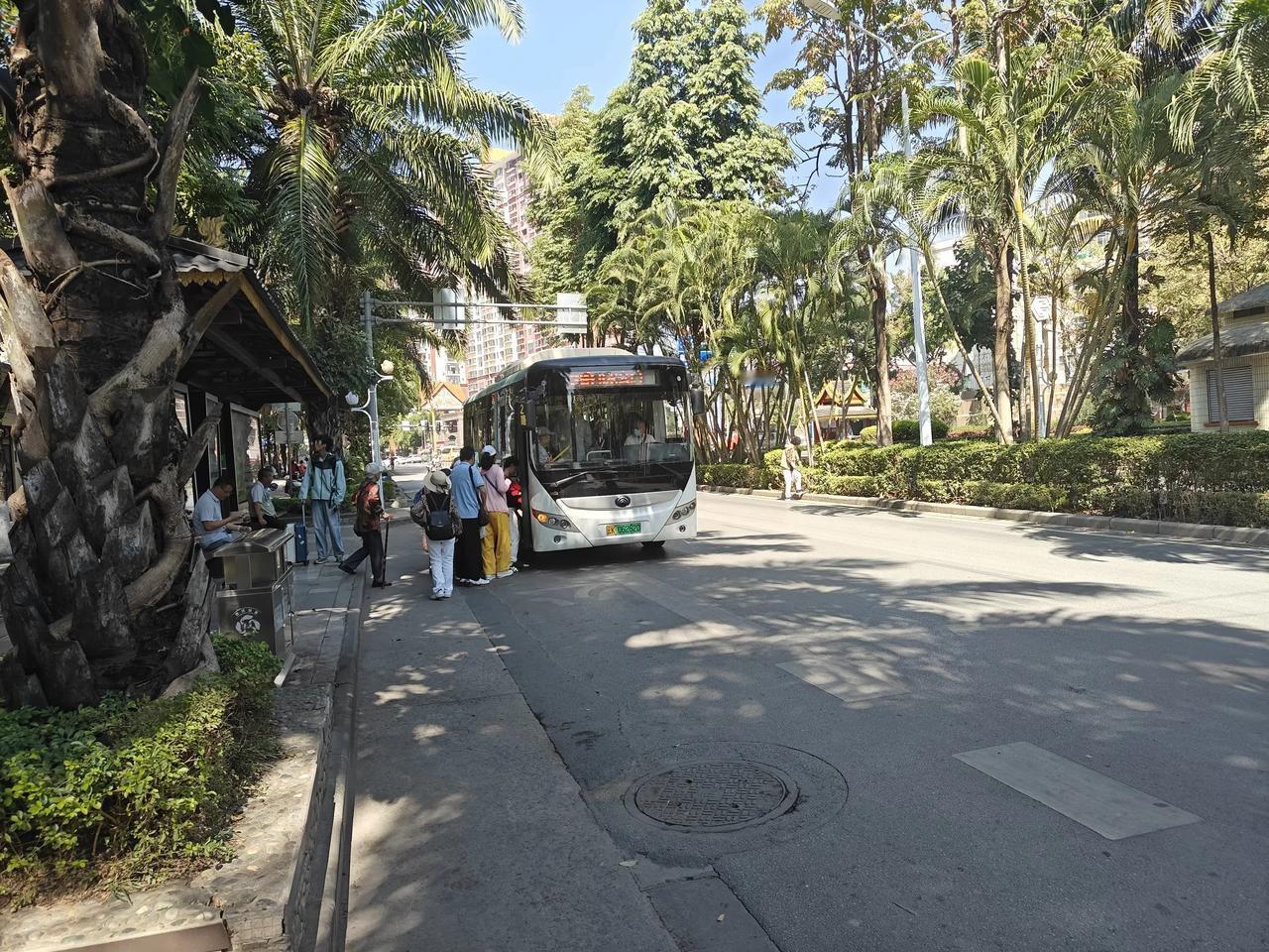 乘坐8路车去市民中心办护照，车上都是老头老太太，挤得喘不过气来。​我还好，站了