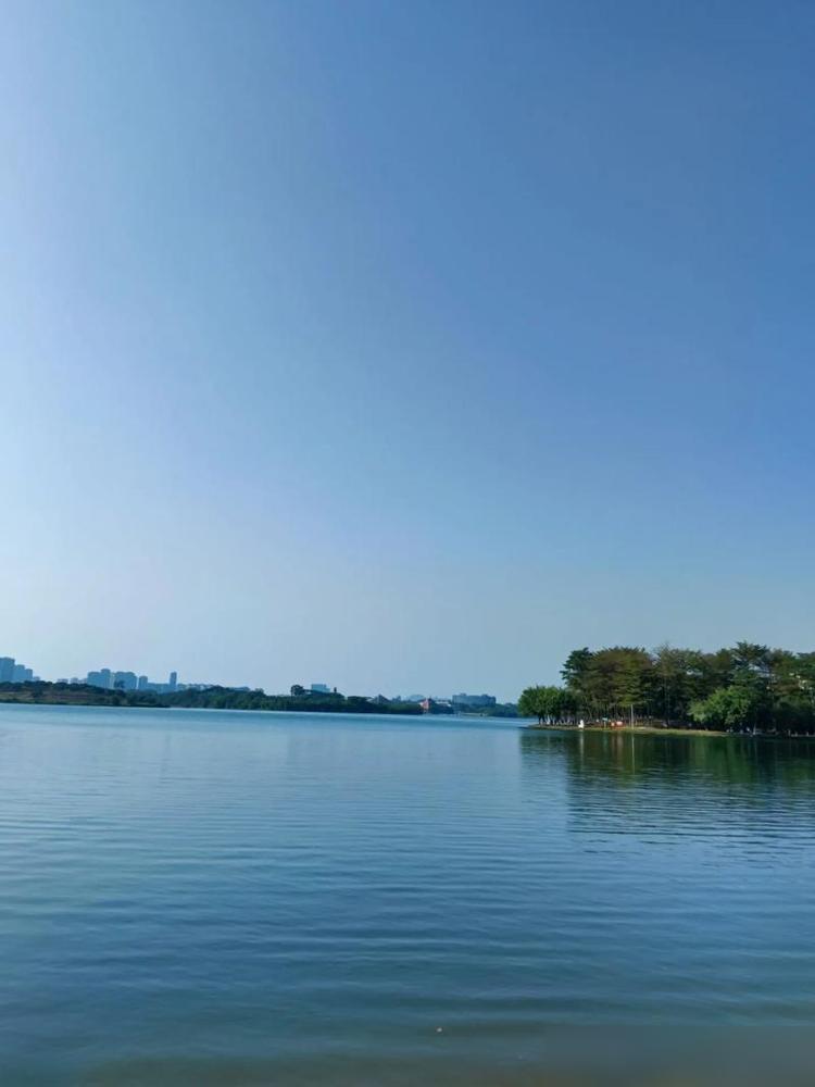 婚姻其实简单，就这三个需求。​一，睡在一起，​二，腰里有钱，​这话说