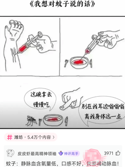 我想对蚊子说的话