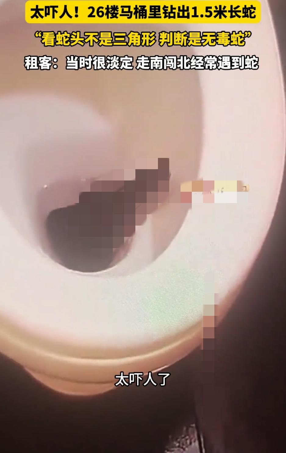 安徽一男子在网上分享，自己在四川成都租住，但6月7日早上，他起床准备上厕所时，刚