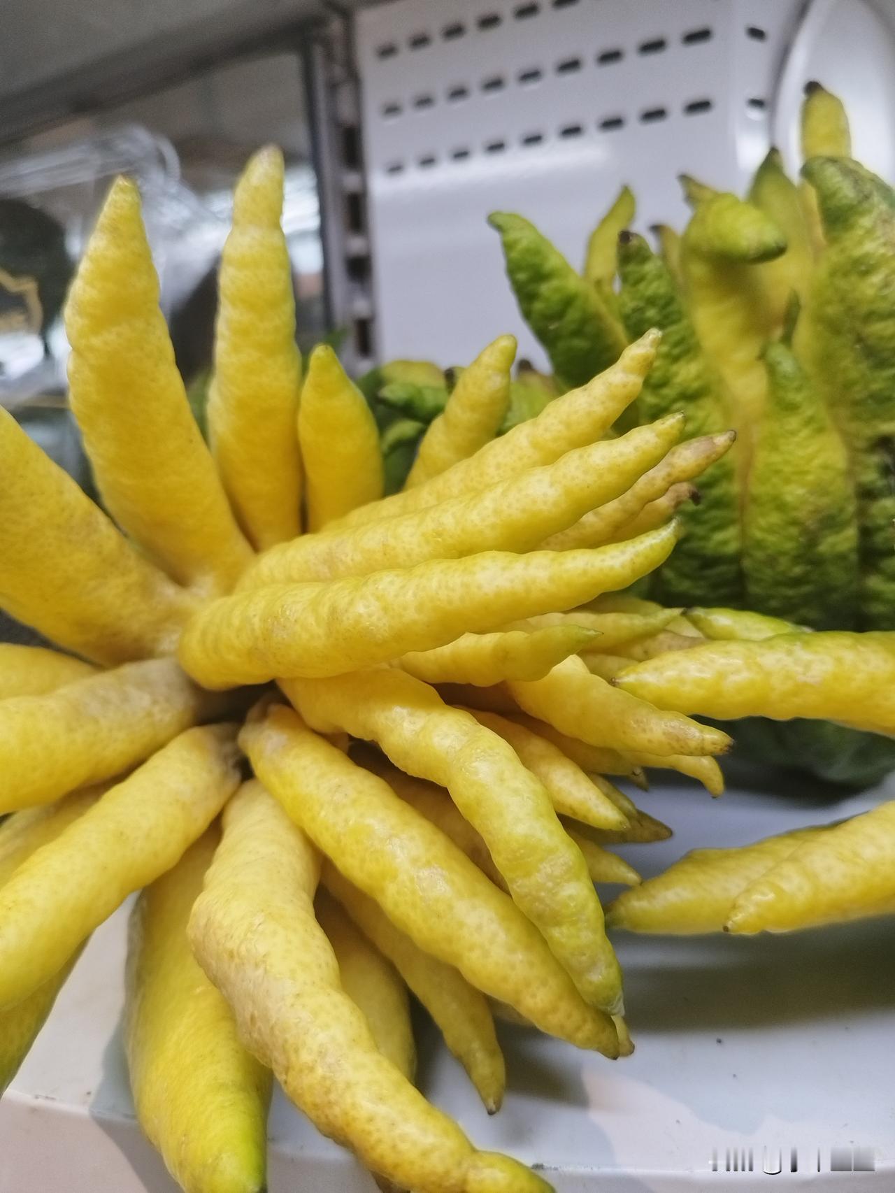 早餐，老公风卷残云般吃完一小份牛肉面，筷子都没放下，又立马起一个大包子，快到嘴边