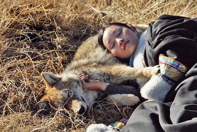 1971年，陕西，3个知青坐驴车回城，一匹狼紧追不舍，车夫扬鞭快跑，狼步步紧跟，