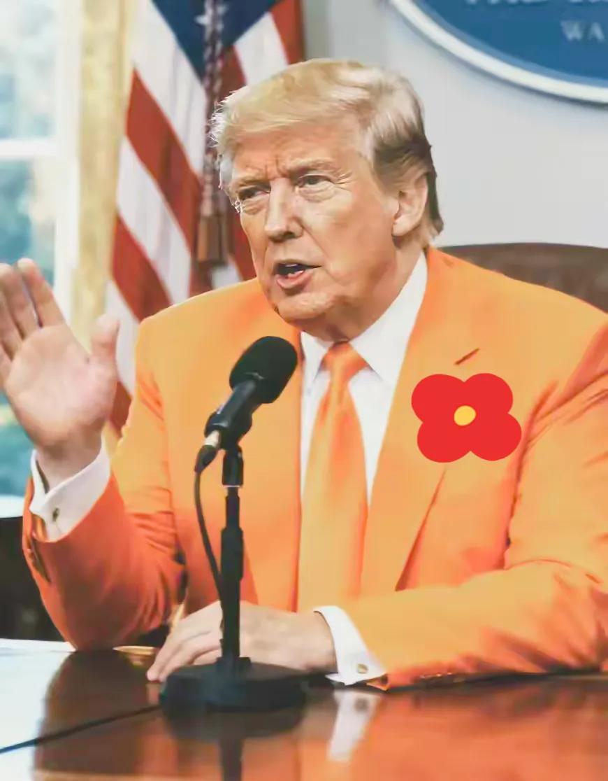 特朗普急推“19点和平方案”，俄乌谈判进入关键博弈期