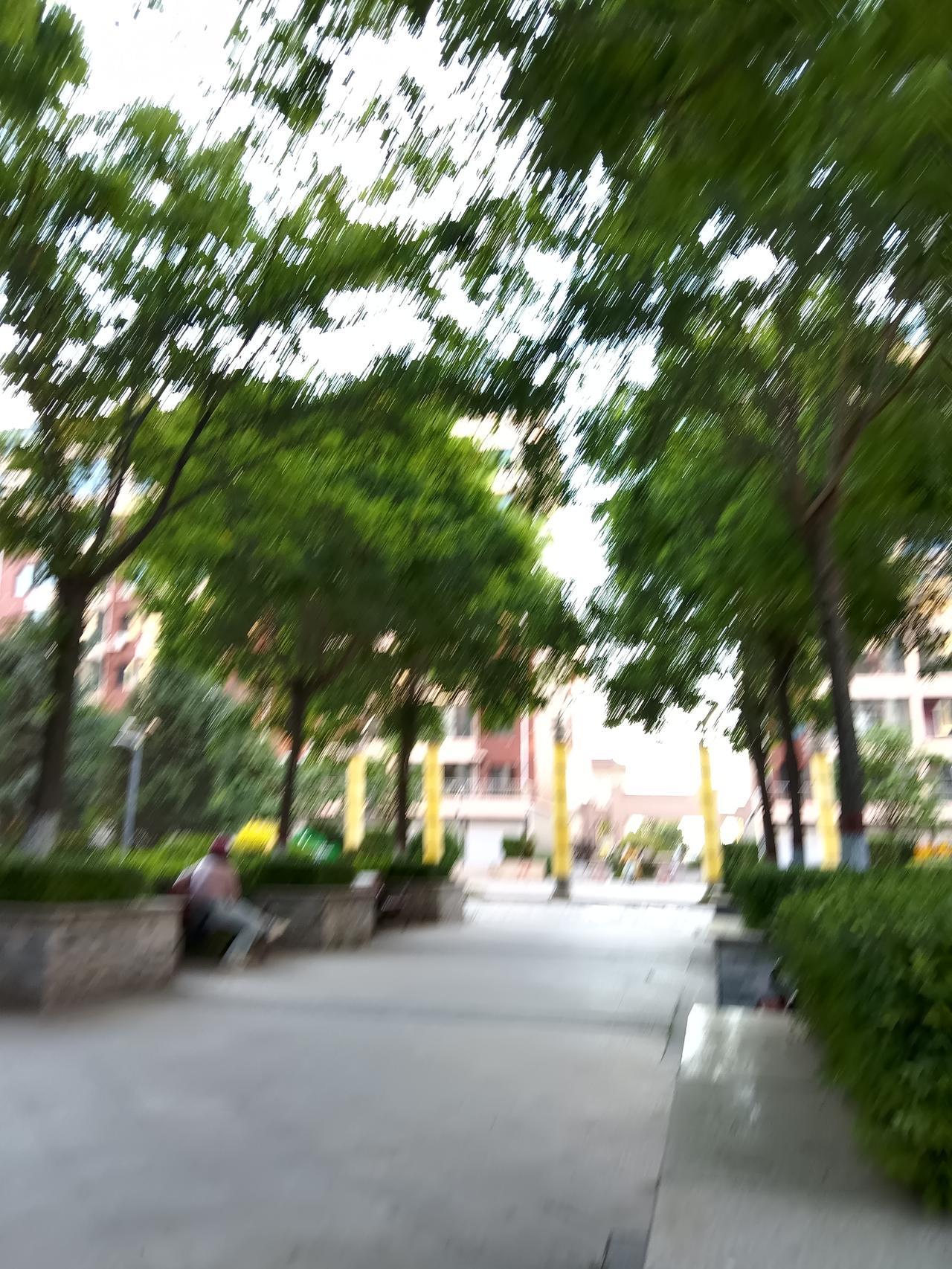 公园里绿树成荫，阳光透过树叶洒下斑驳的光影。