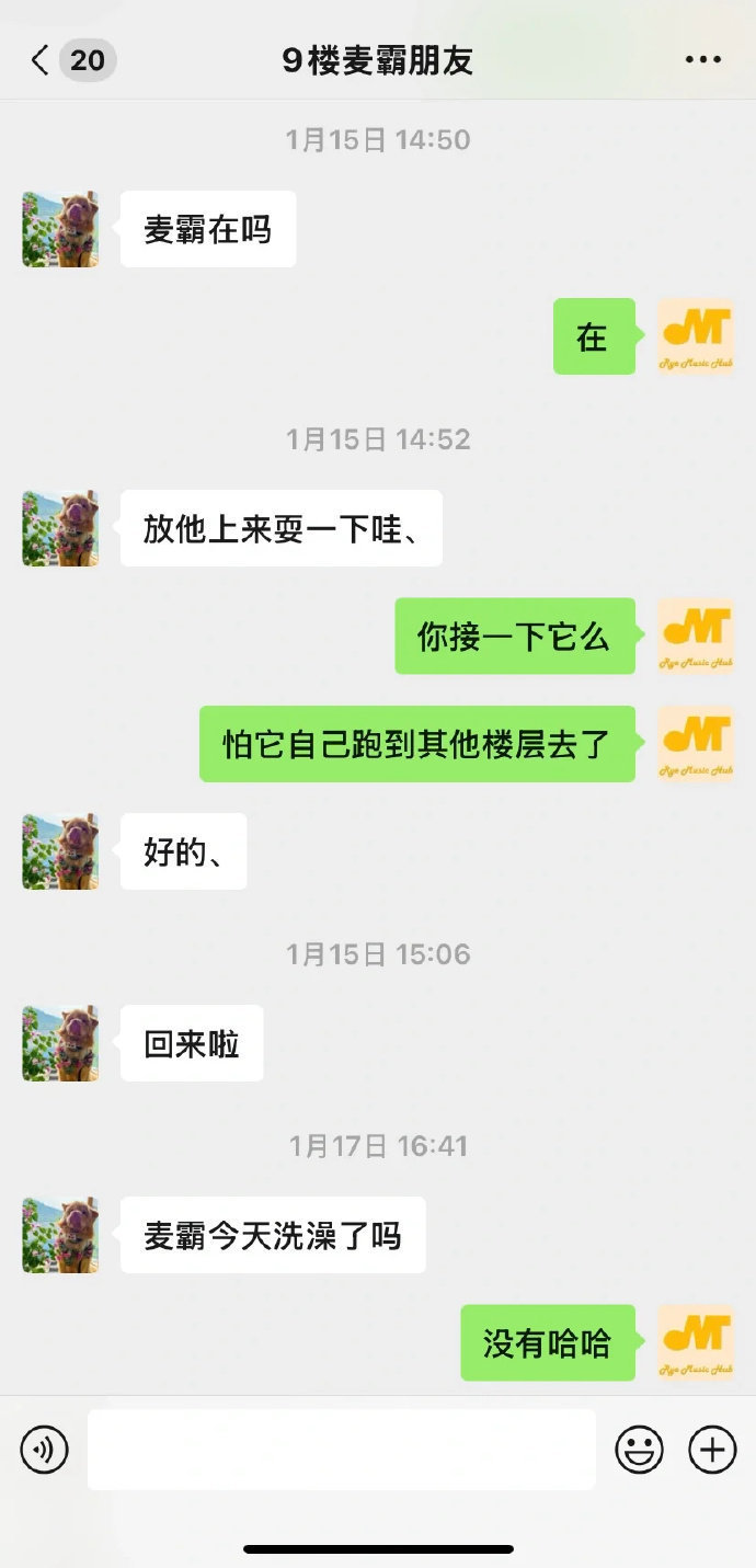 我的金毛自己出去交了一个好朋友！！！