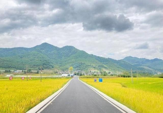 为什么高速公路50米内，往往都不能种庄稼，而是要种绿化，这是不是太浪费土地了？其