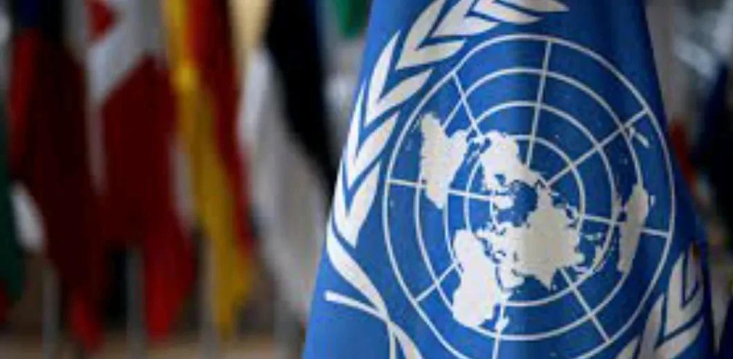 联合国特别报告员：“如果联合国无法阻止加沙地区的种族灭绝行为，那它存在的意义又