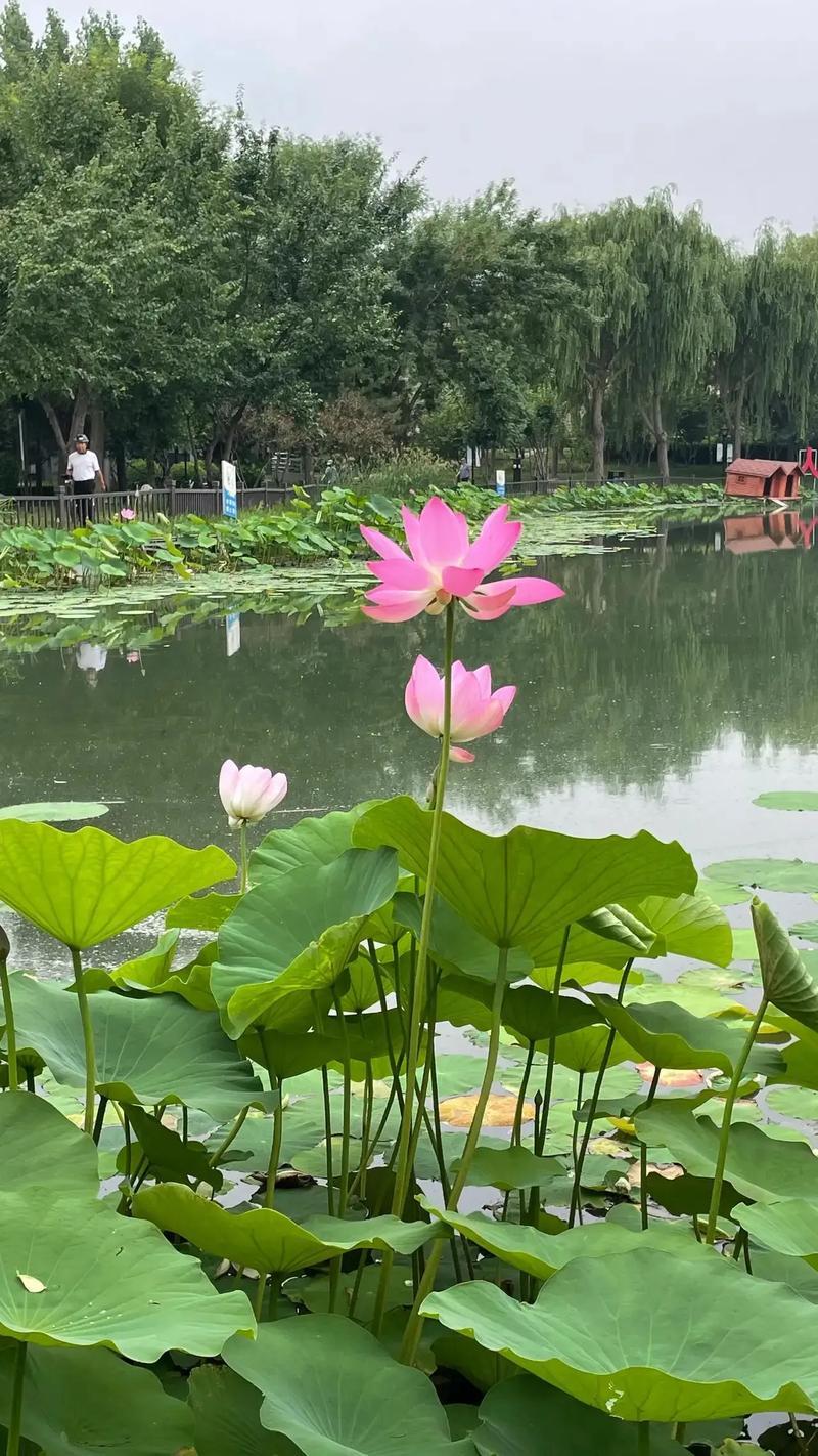 晨起口苦是因为上火？每天按按这两个穴位有效改善