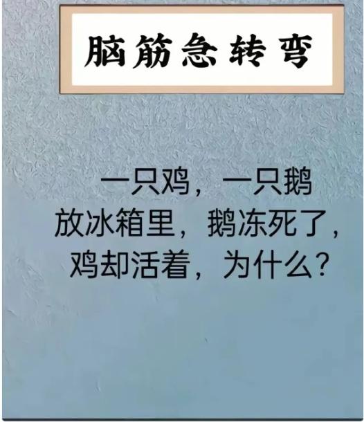 笑喷！鸡和鹅塞冰箱，为啥鹅冻死鸡还活？我盯着这道题愣了三分钟，第一反应还以