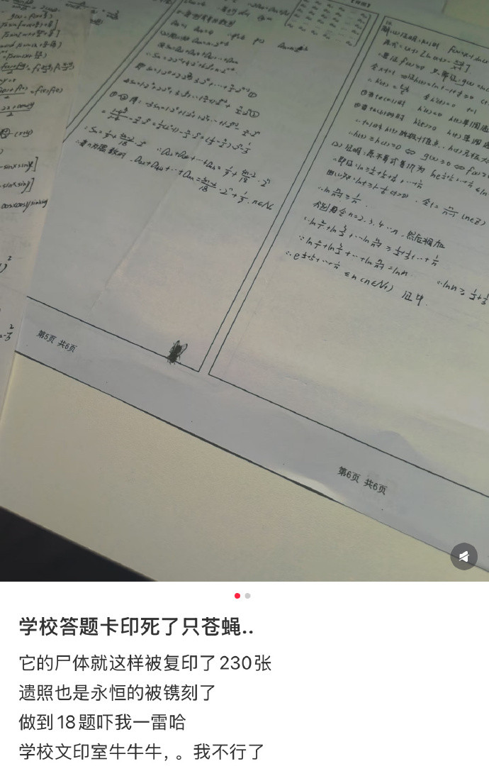 试卷上一只苍蝇的墓志铭​​​