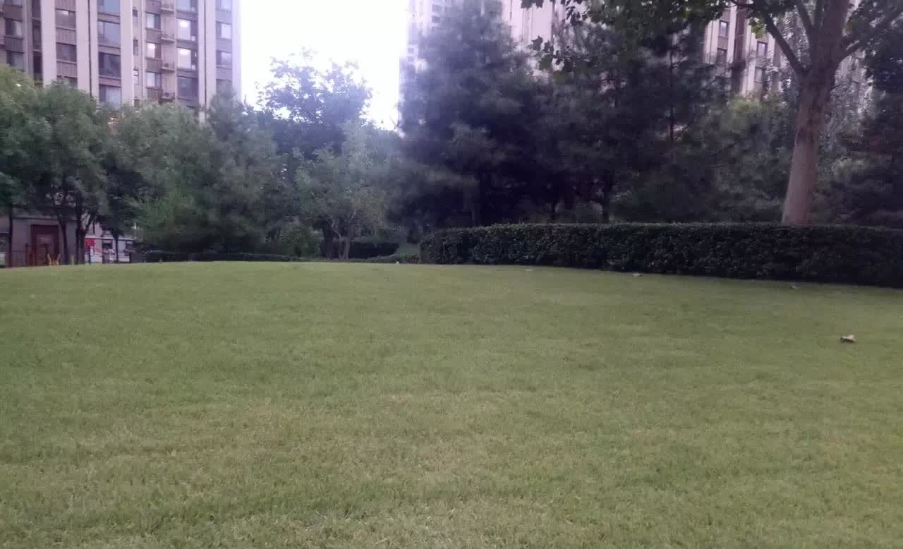 “素质真高！在家肯定也是个干净利落人！”中午买饭，见店内一男子吃完灌饼后，俯
