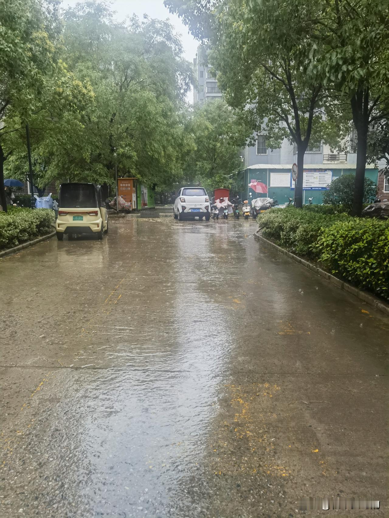 实在没招儿了，山东这破天，咱裤衩子打从开始下雨，就没沾过太阳味了。这