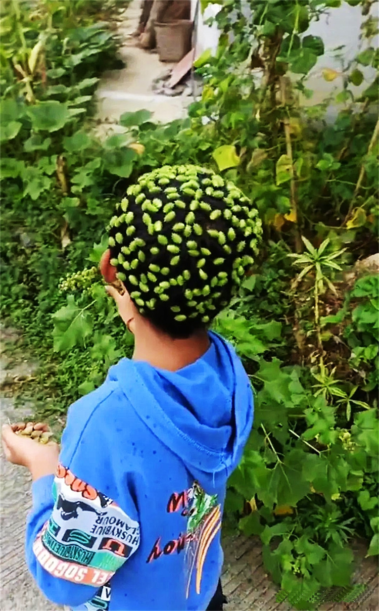 孩子回到乡下，玩的不亦乐乎!