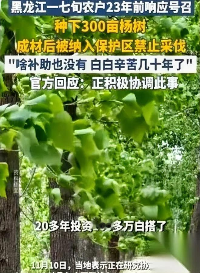 这事看得人憋气换谁都得崩溃黑龙江齐齐哈尔72岁的农妇，耗了23年种了30