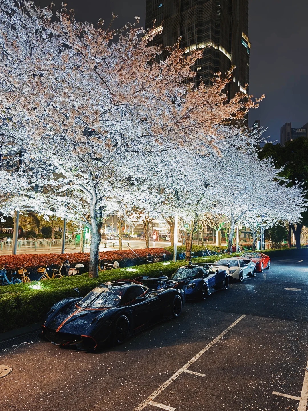 夜晚、樱花与帕加尼HuayraR绝美车片