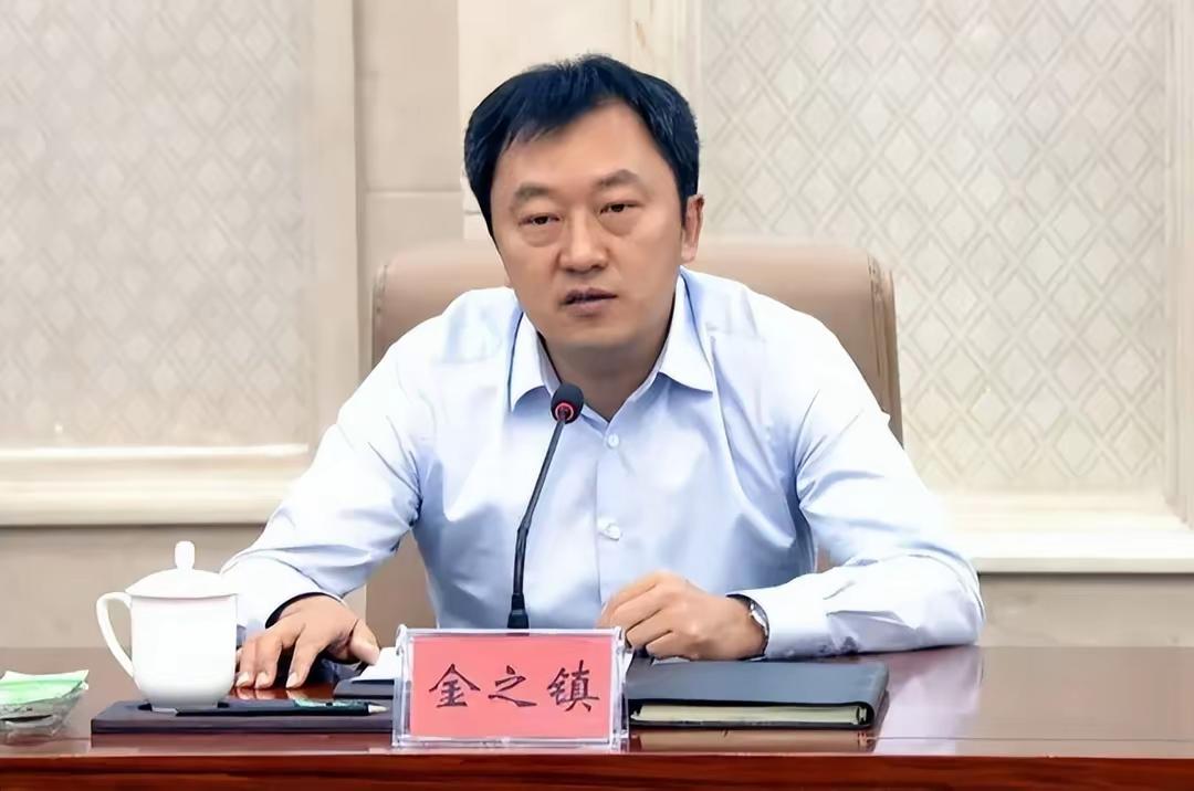 这是一只实实在在的大老虎！一是金之镇是副省级干部，二是他是在职的新疆维吾尔自治区