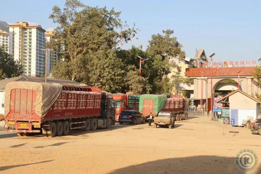 缅北地区的玉米，每天入境达到80辆车，每车30吨算，那也有2400吨了！缅甸盛产