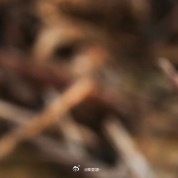 种植1300棉花完整种植技术一、种植时间地表5cm土层温度稳定≥15℃播种👉