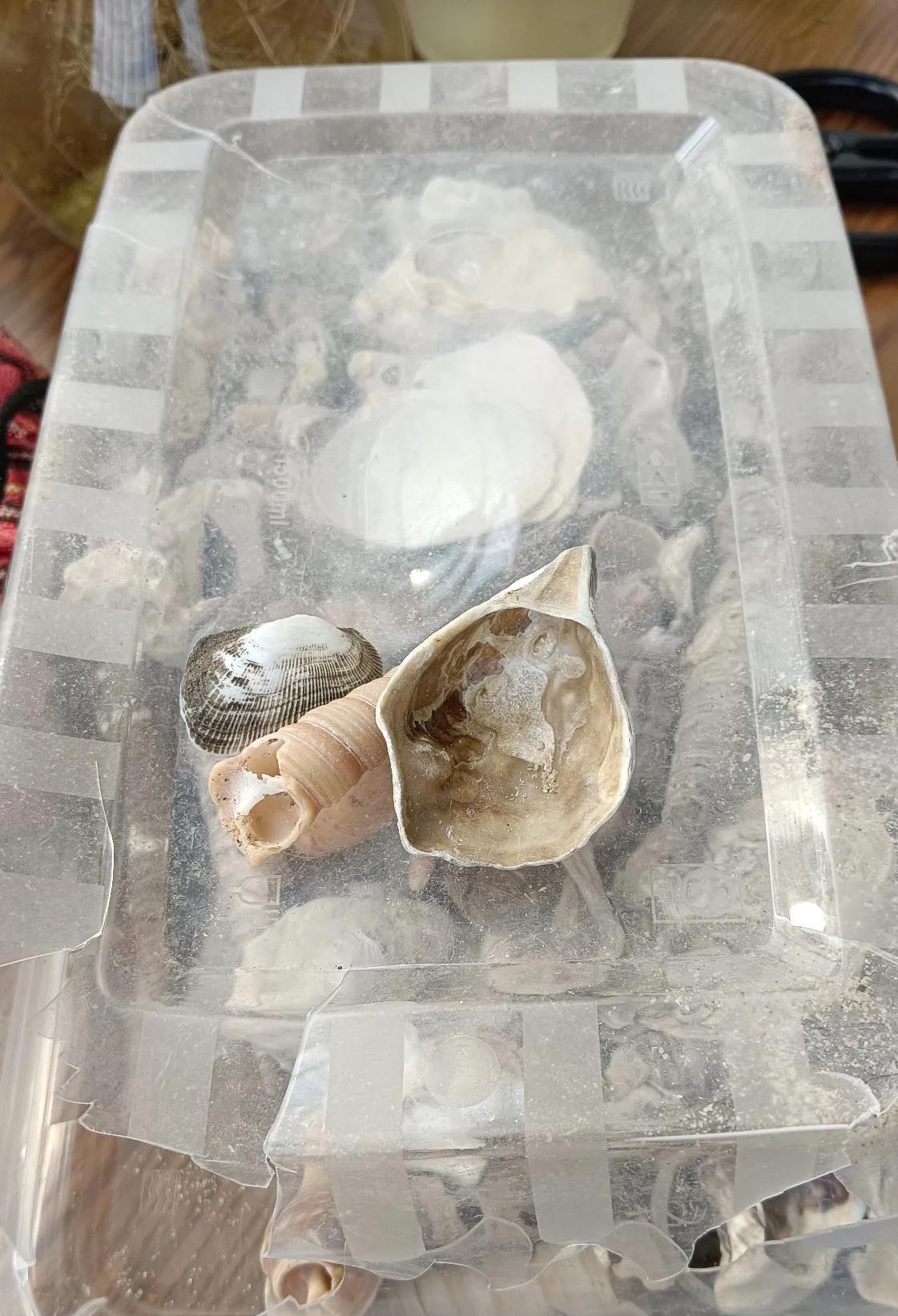 上午我在阳台上收衣服，小六喊我，“妈，你的电话响了。”我让小六看看，“你瞧是谁