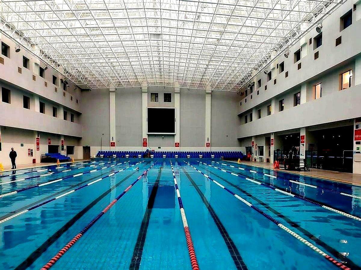 半年减掉两圈啤酒肚，我妈却把尿酸升高的锅甩给“泳池的水太湿”。我翻出体检单：