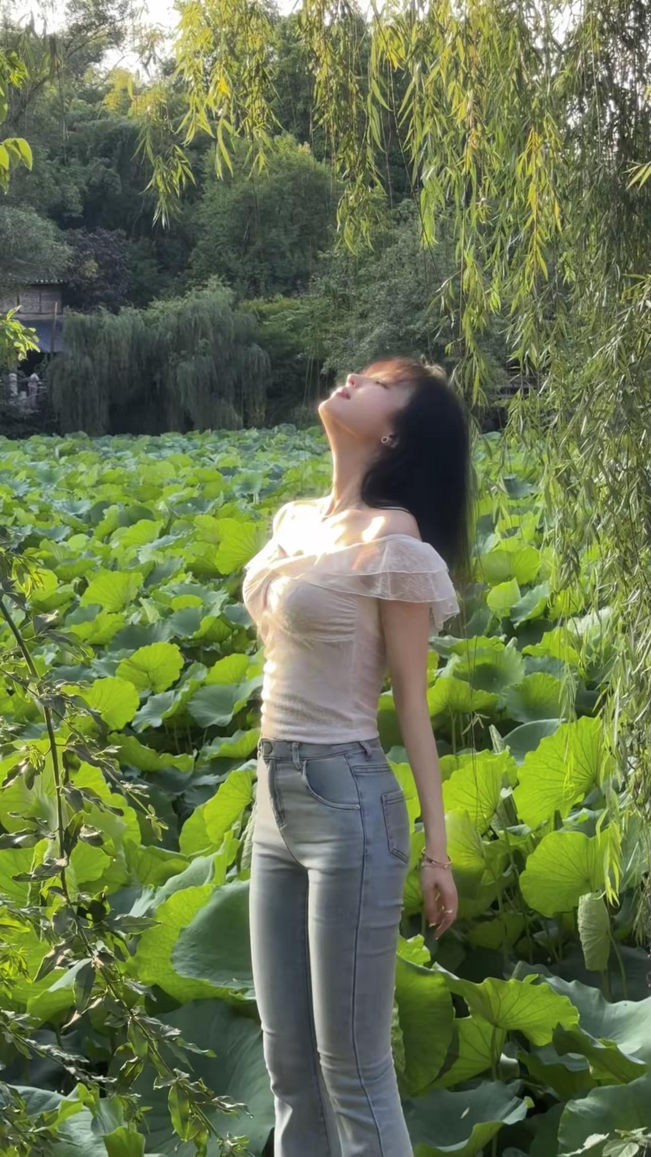 在荷塘边，享受阳光的温柔拥抱