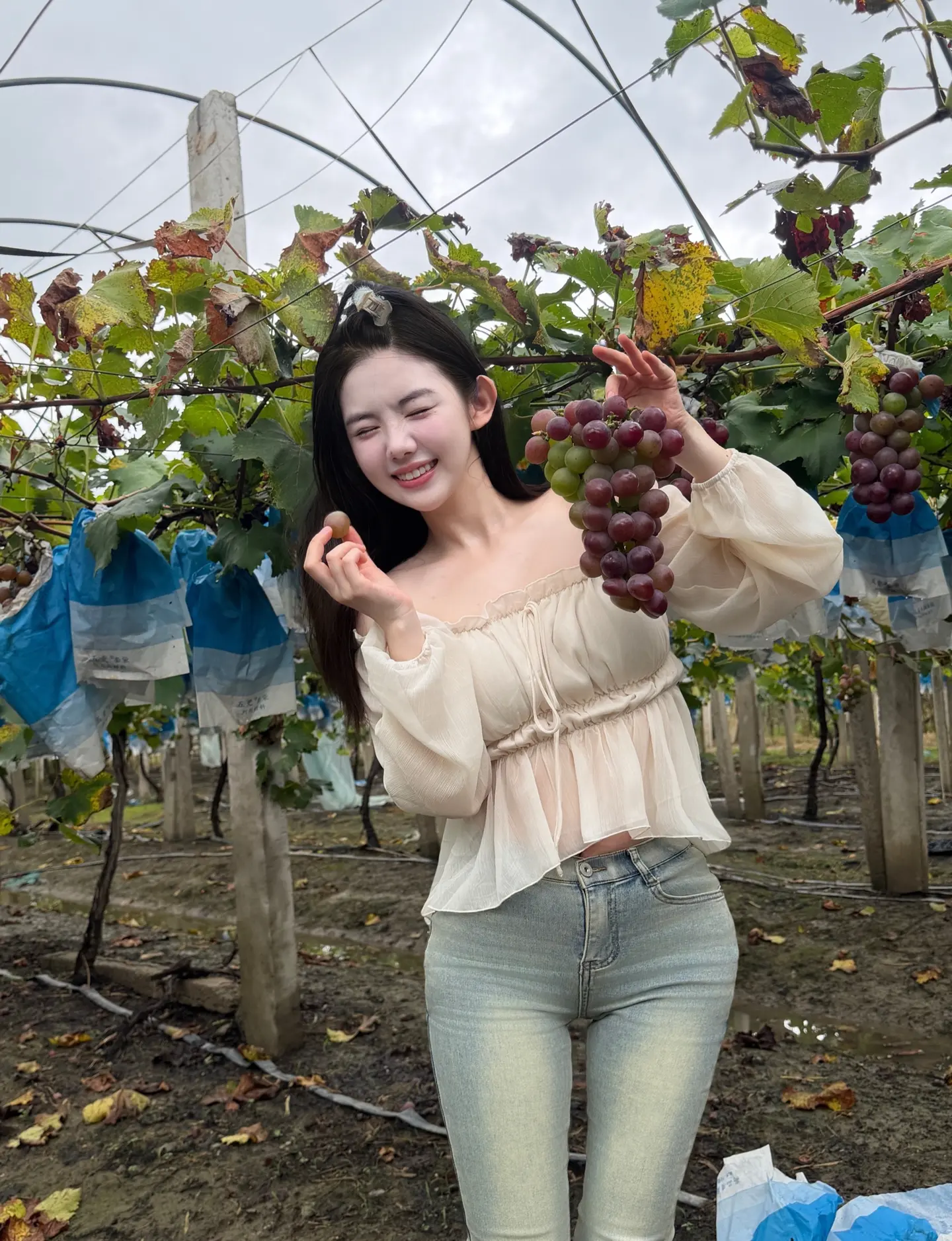 摘葡萄🍇
