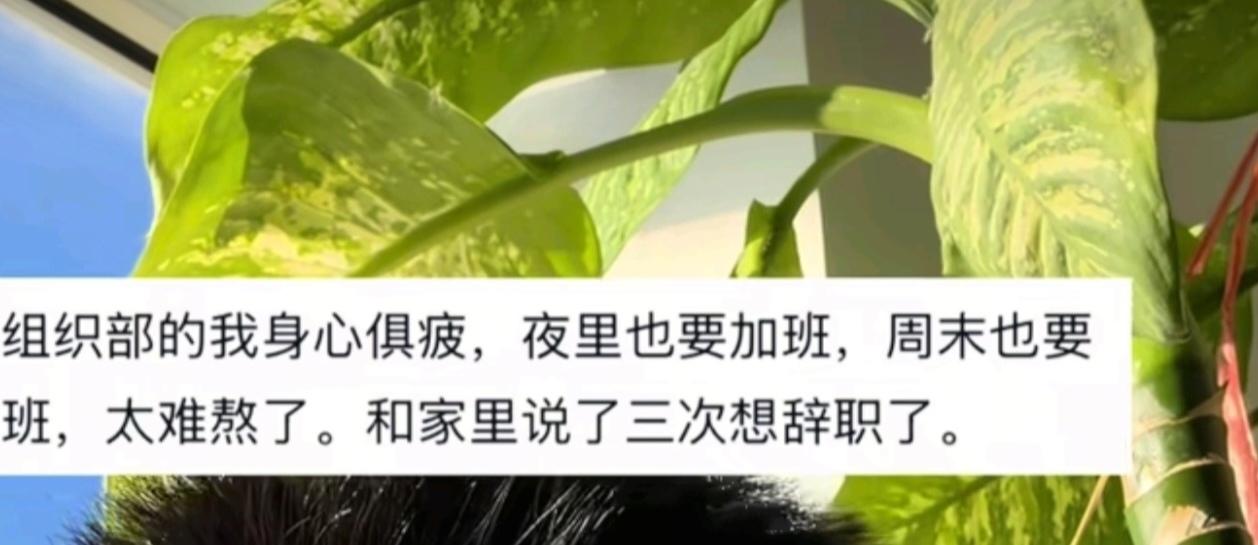 我朋友是组织部的，他说夜里也要加班，周末也要加班，太难熬了。和家里说了三次了，