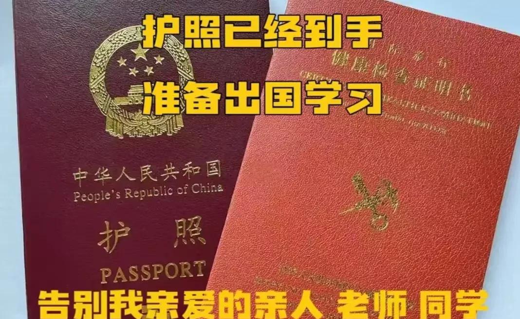 老公的一个朋友把两个儿子都停学了，准备送去非洲学习了，护照还有一些手续都已经办好
