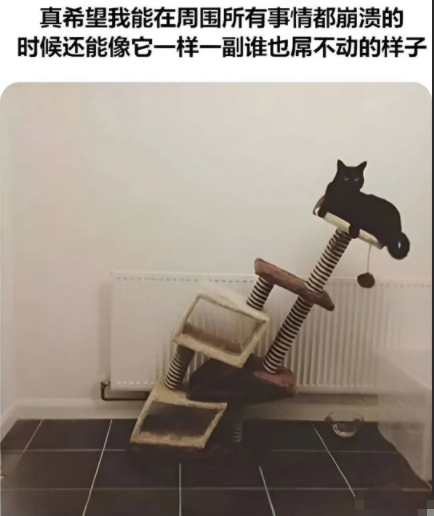 就是这么记仇