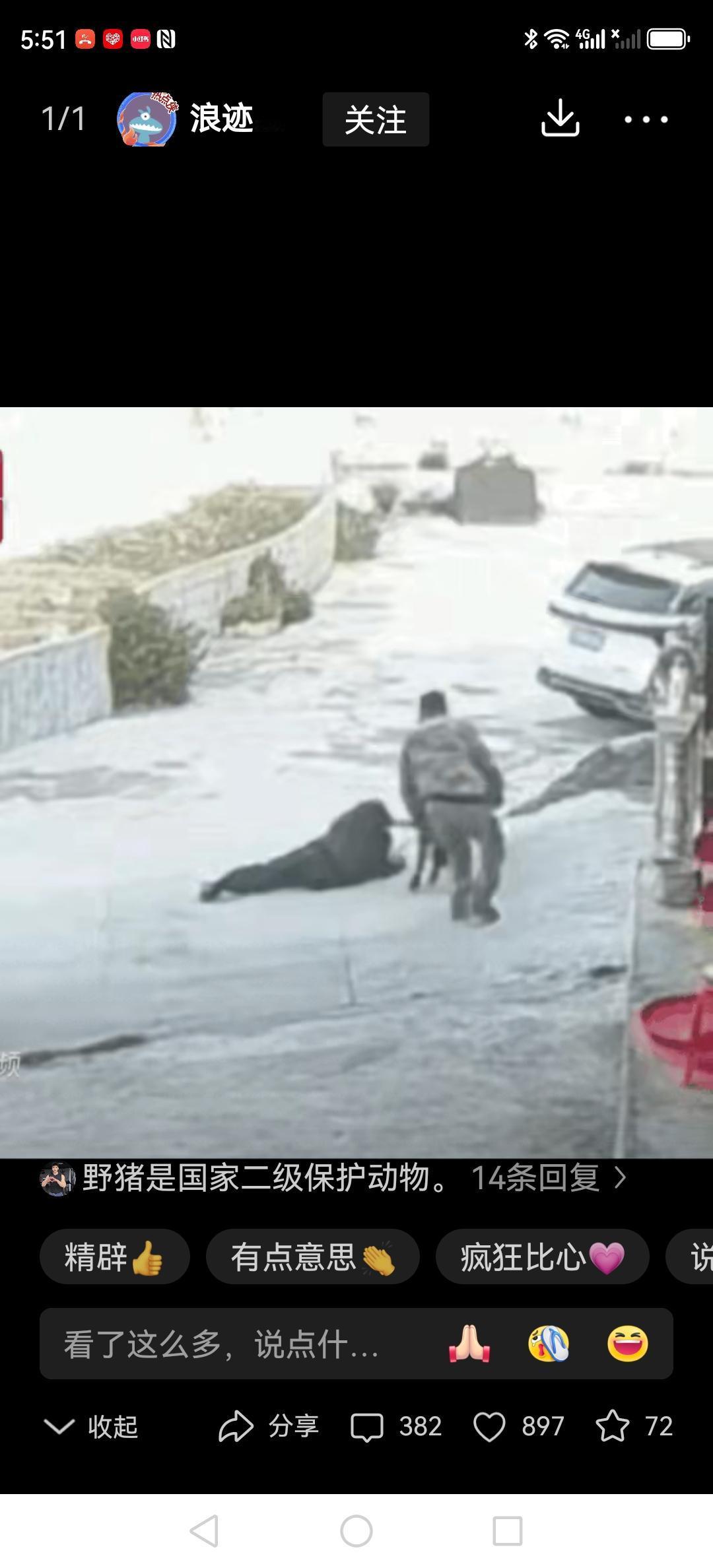 这大哥怕不是现实版的武松？你看啊，有村民被野猪死死咬住腿，怎么甩都甩不开，这大