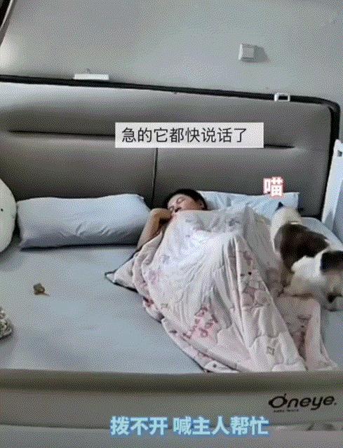 太有灵性了！山东，一几个月大的宝宝和妈妈睡觉，可宝宝翻身时不慎被被子蒙住了头，但