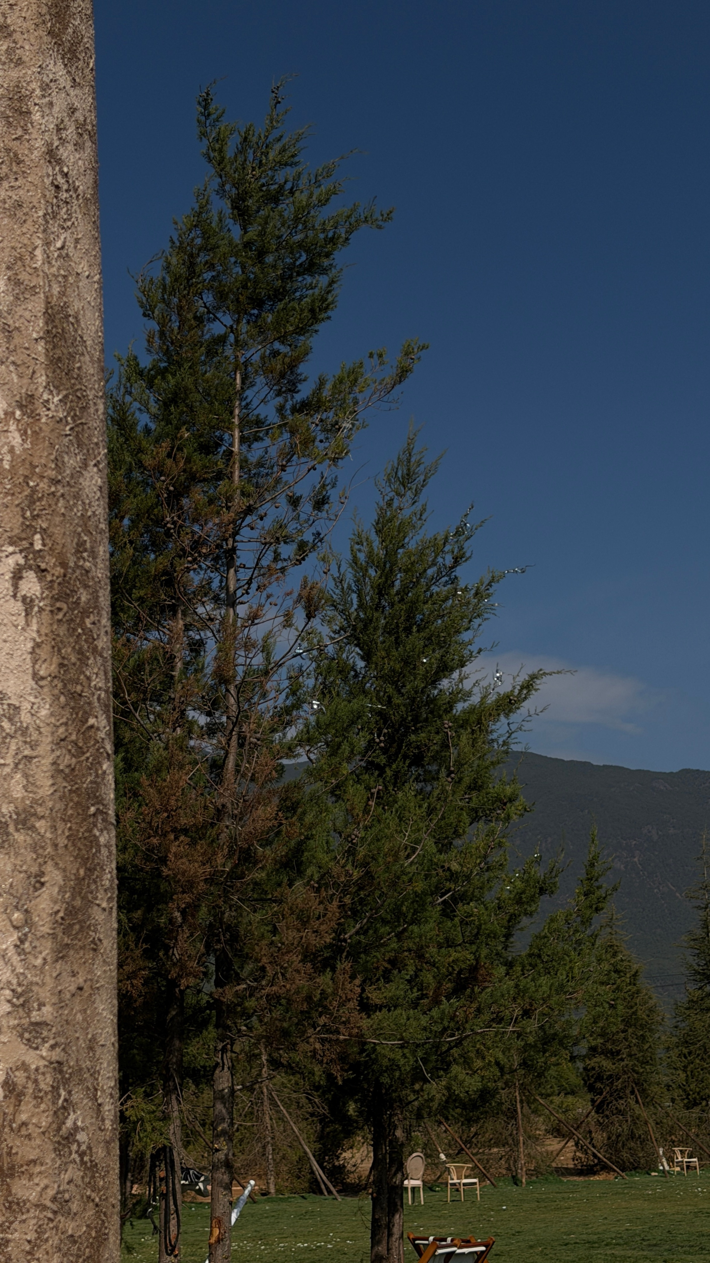 去有风的地方丽江
