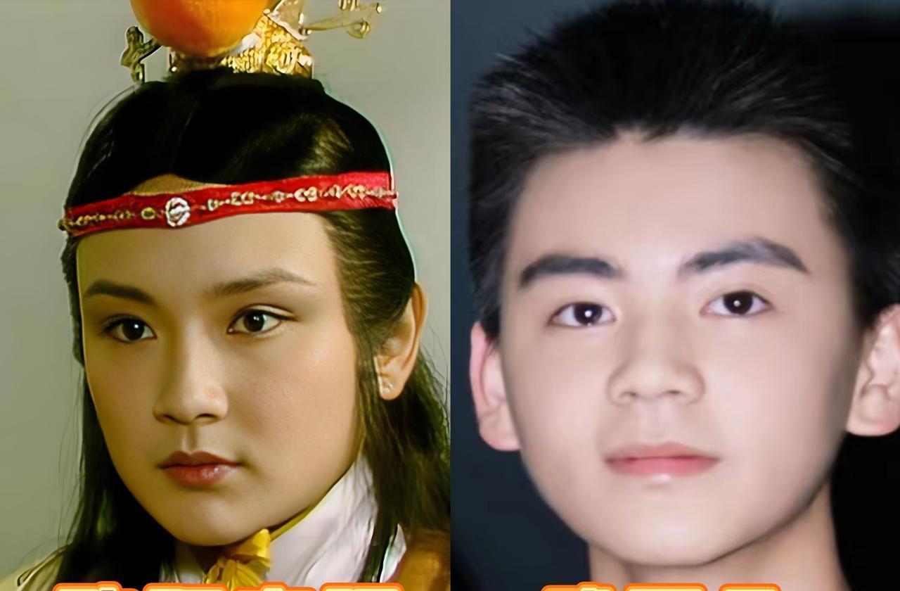 别再聊林黛玉了，新版《红楼梦》的主角，是贾元春。郑晓龙联手《甄嬛传》编剧流潋紫