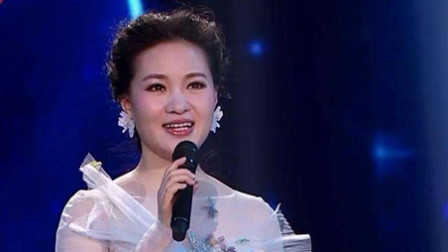 打开 打开 于红梅,赵聪二胡和琵琶演奏《茉莉花》愿每一天都这么美好