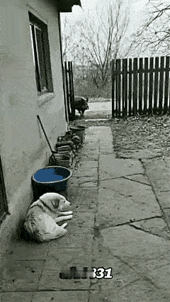 卤水点豆腐，一物降一物。[捂脸哭][捂脸哭]