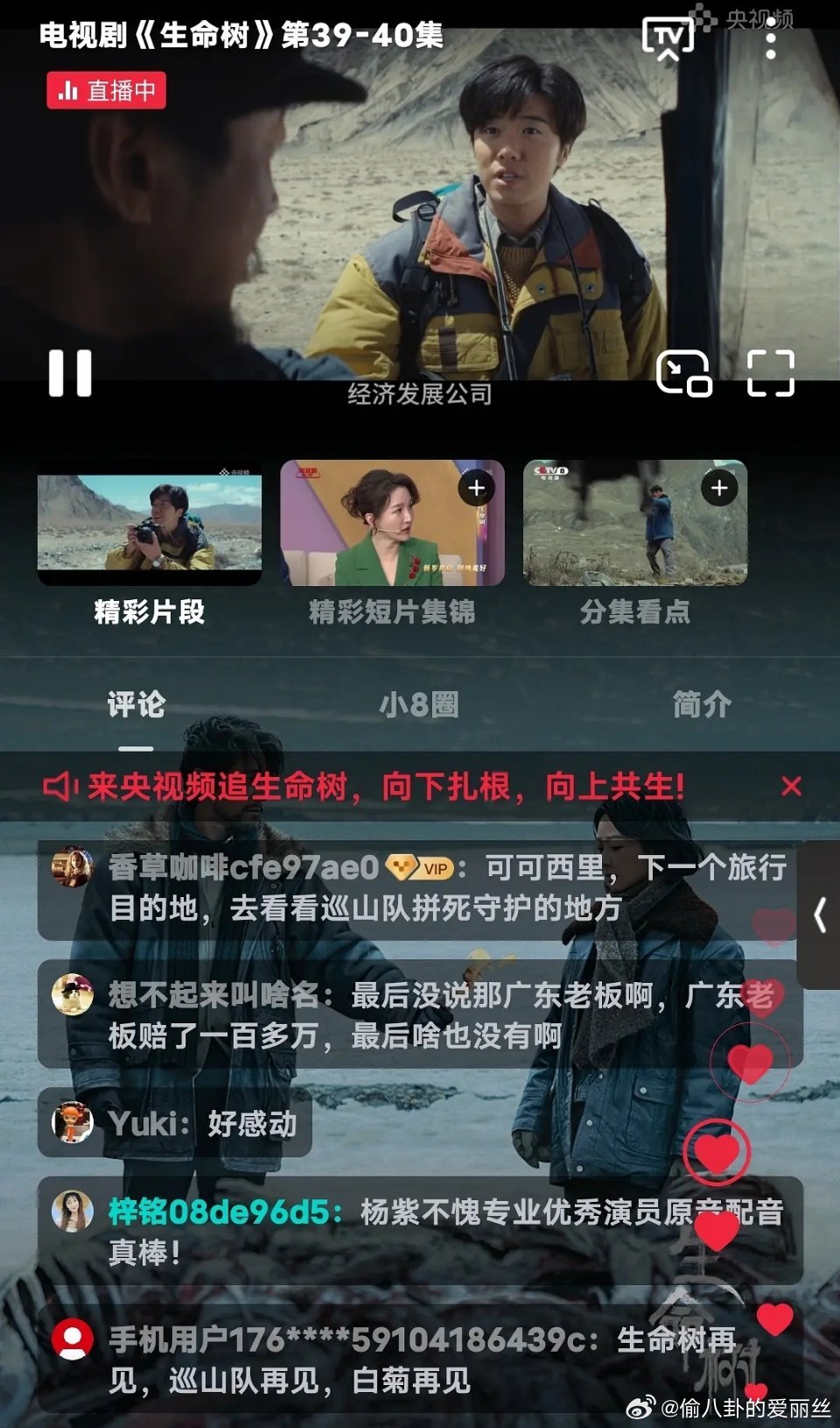 央视收视率只隔了一个广告时间，收视率比生命树差了一大半，人家二点多。唐宫零点几，