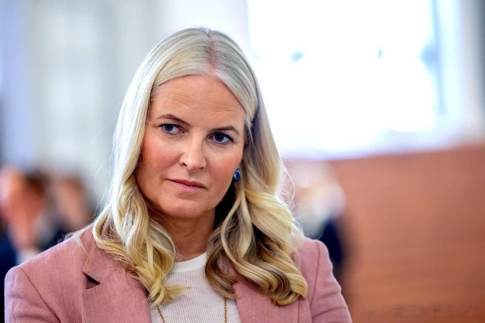 新闻近日，杰弗里·爱泼斯坦案中超过300万份新文件被公开，挪威王储妃梅特再次牵