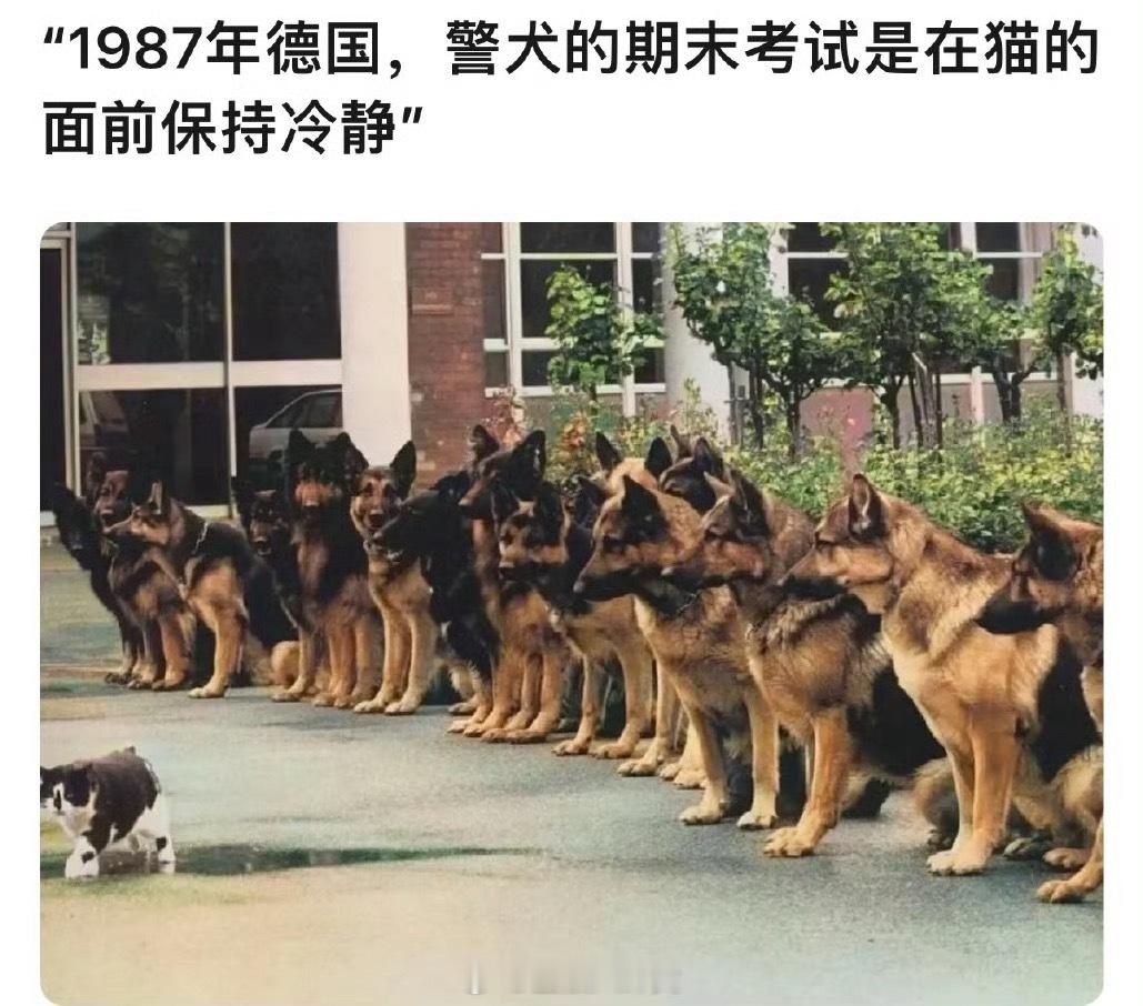 那很冷静了……​​​