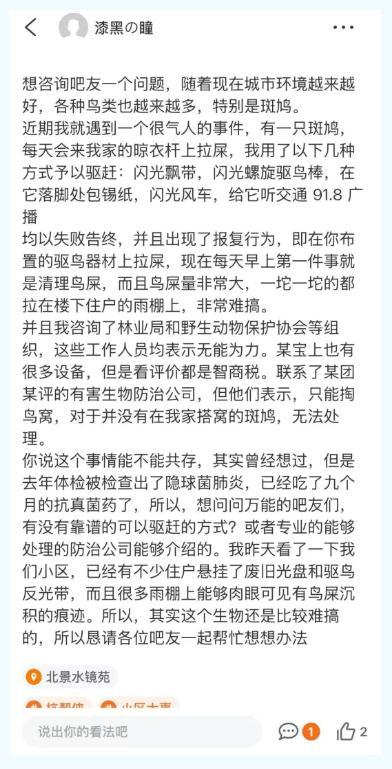 谁能想到，人还能被斑鸠缠得天天心烦意乱。浙江杭州，一男子赶走了想来阳台安家的斑鸠